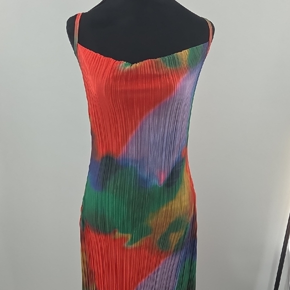 Colorful Pleated Maxi Dress - Picture 3 of 16